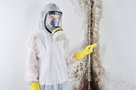 Best Water Damage & Mold Remediation  in Westwood, KS